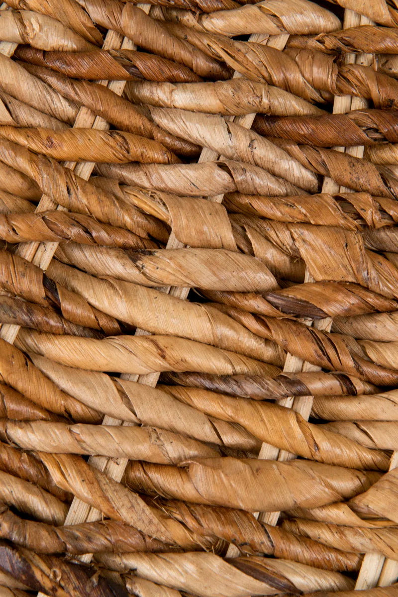 Everything Home by Regine